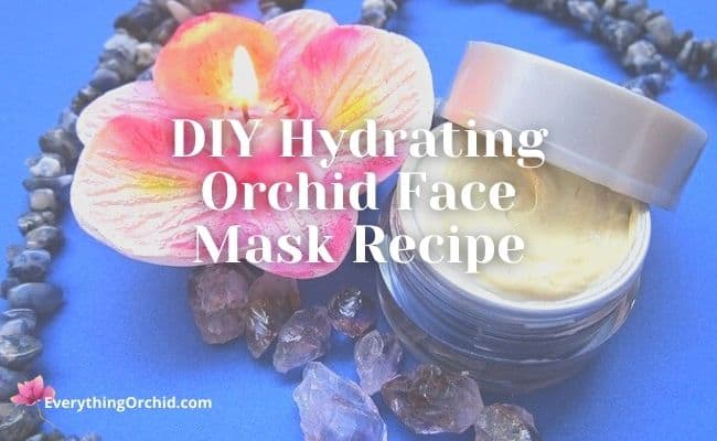 DIY hydrating orchid face mask recipe 