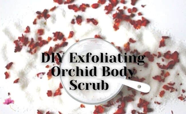 DIY exfoliating orchid body scrub 