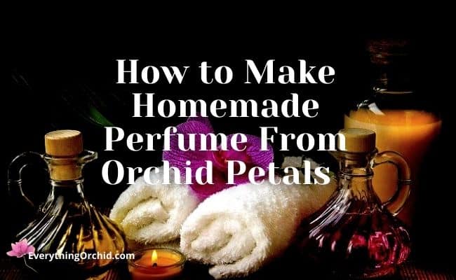 How to Make Homemade Perfume from Orchid Petals 