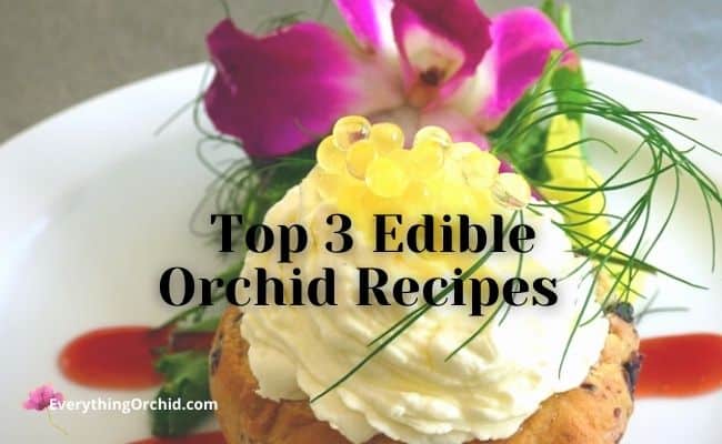 Top 3 edible orchid recipes 