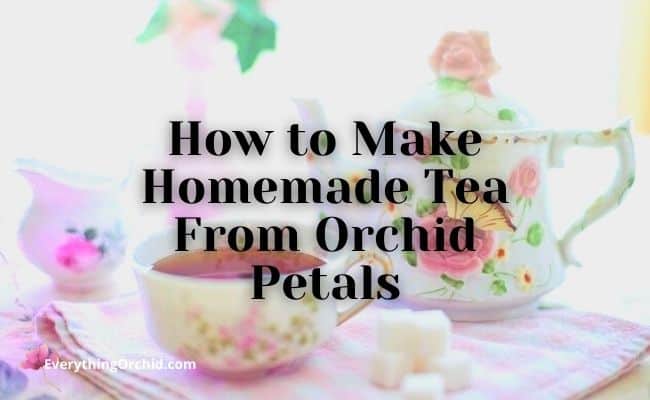 How to make homemade tea from orchid petals 