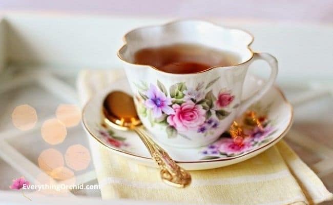 Homemade tea from orchid petals 