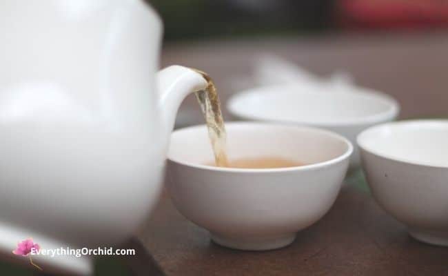 Step-by-step instructions to make homemade tea from or