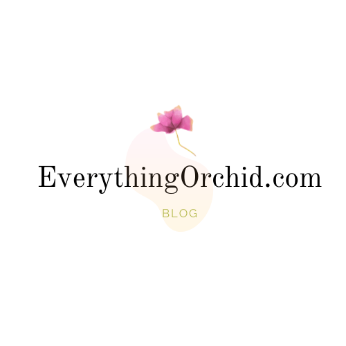 everythingorchid.com 