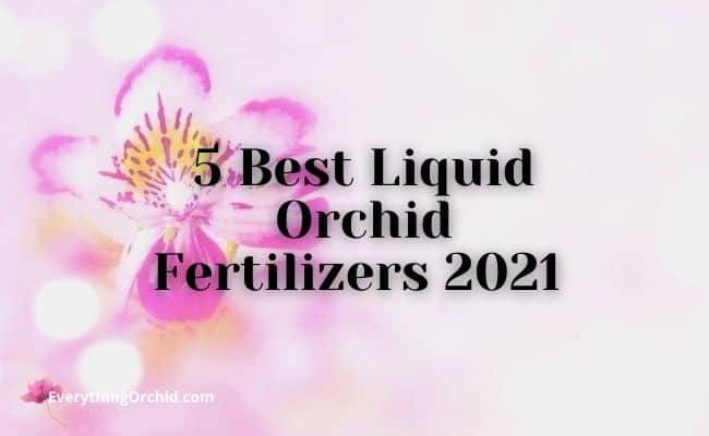 5 best liquid orchid fertilizers 2021 