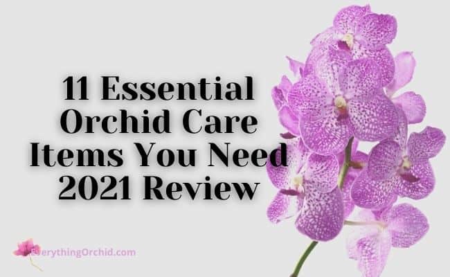 11 essential orchid care items you need-2021 review 