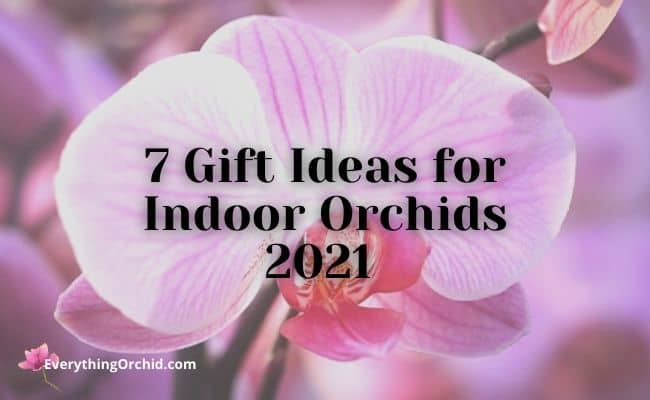 7 gift ideas for indoor orchids 2021 