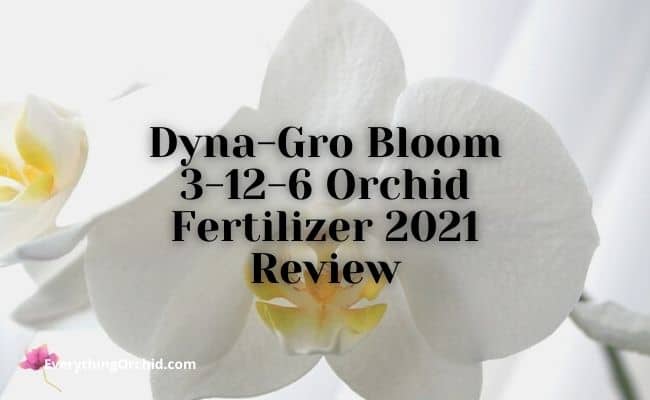 dyna-gro bloom 3-12-6 orchid fertilizer review 2021
